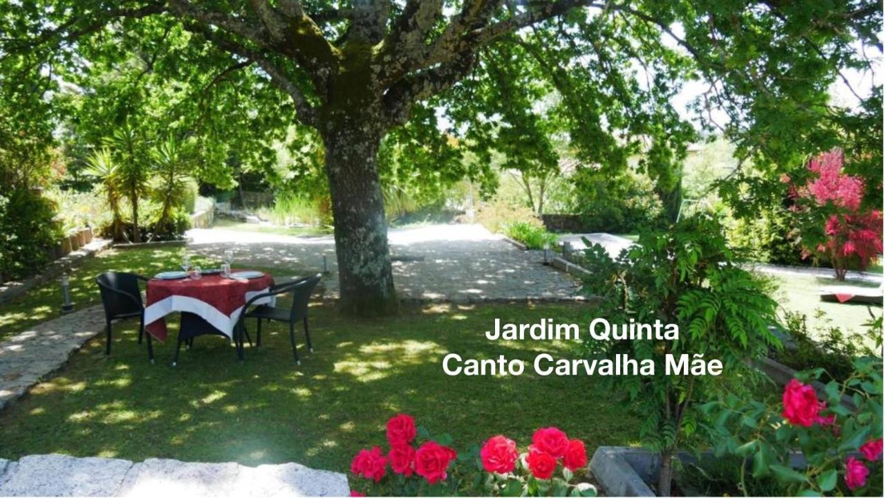 Ferienwohnung Quinta Monteluz Viseu Exterior foto