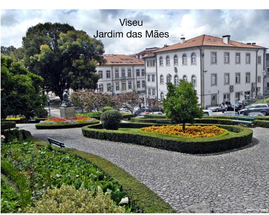 Ferienwohnung Quinta Monteluz Viseu Exterior foto